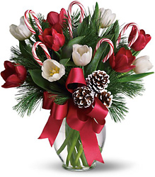 By Golly, It's Jolly from Kinsch Village Florist, flower shop in Palatine, IL